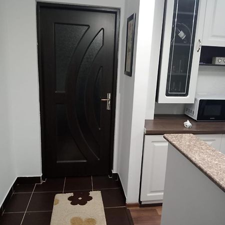 Penti Apartament Suceava Esterno foto